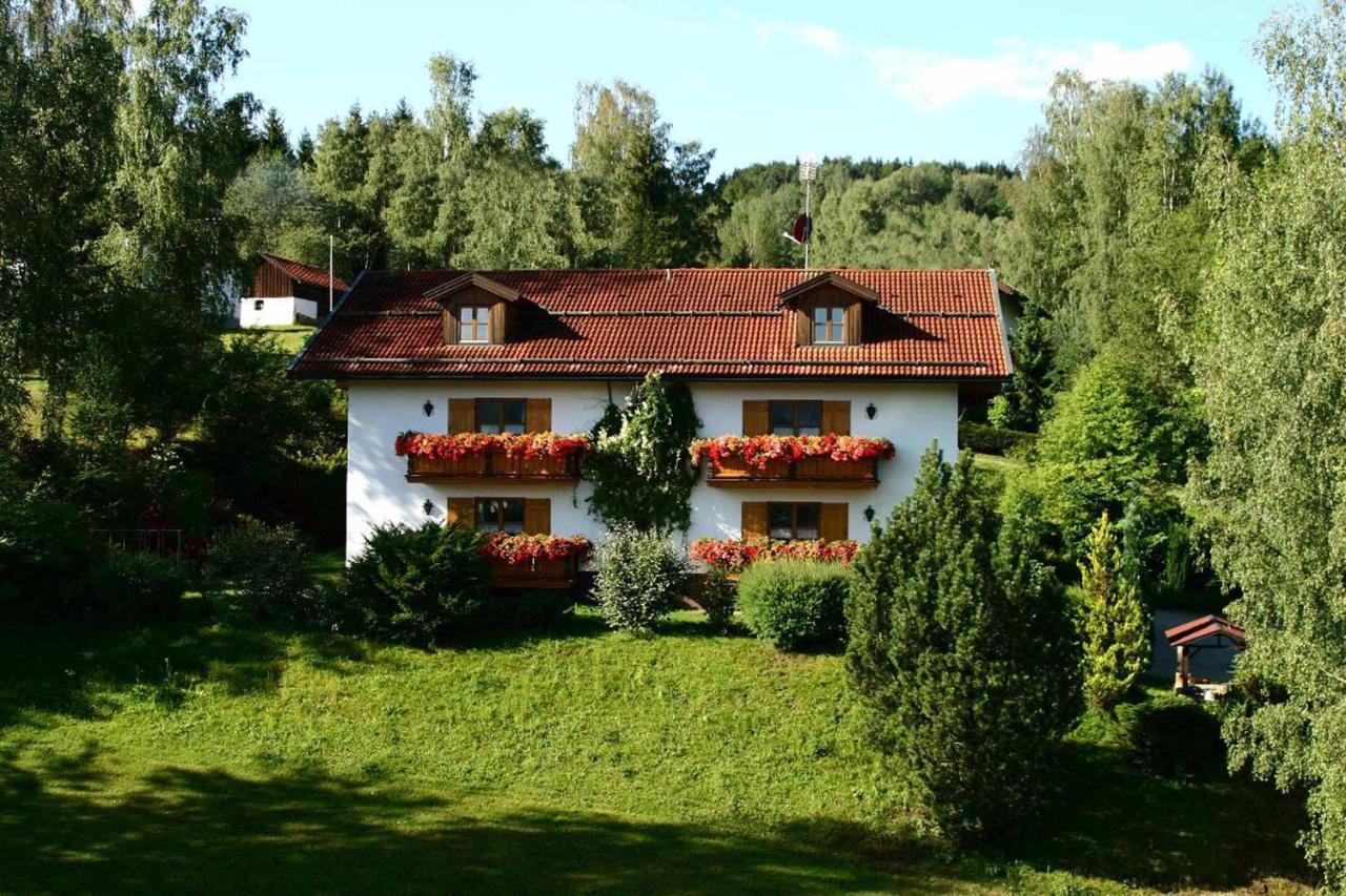 Ferienwohnungen Haus "Wildschuetz" Frauenau Buitenkant foto