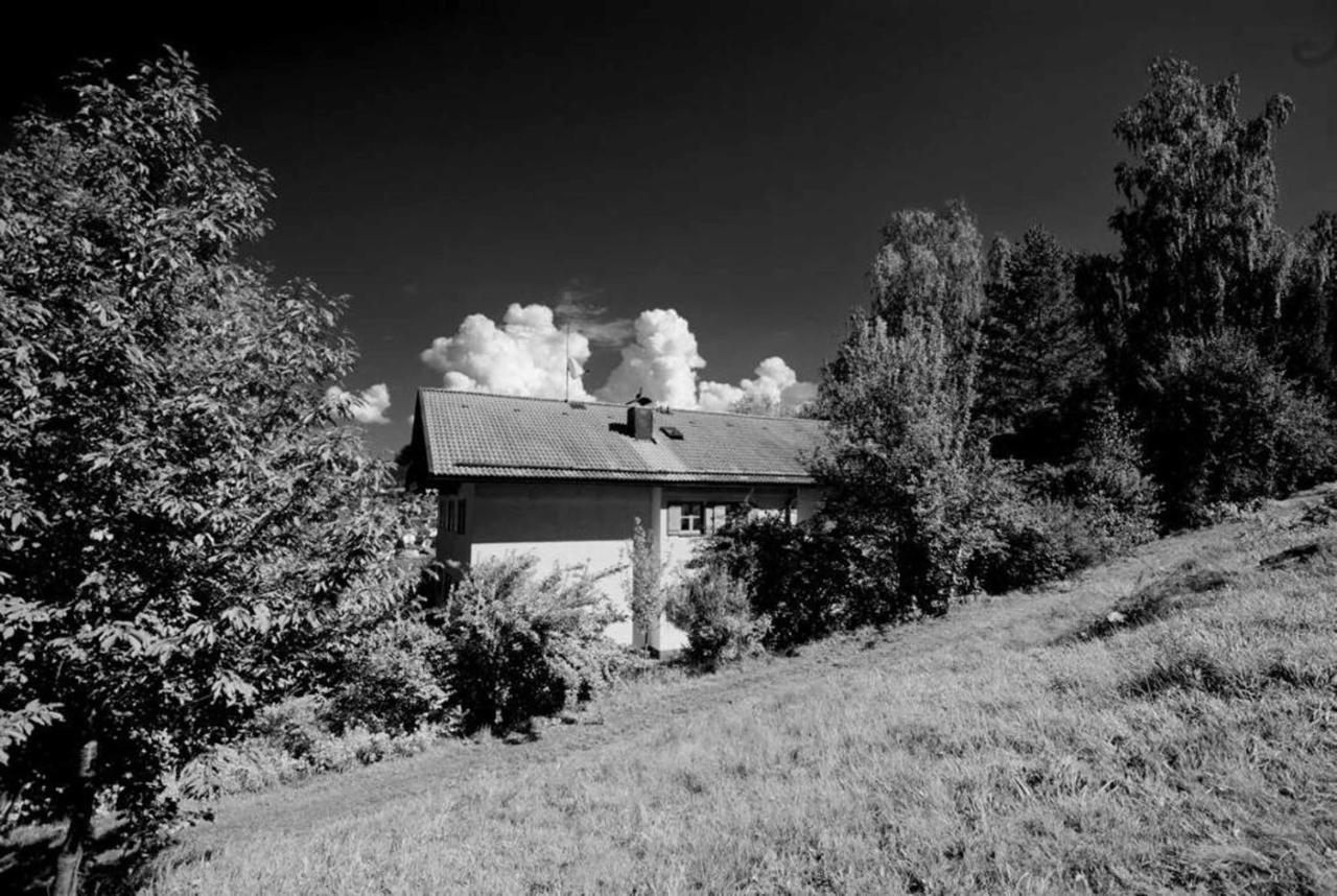 Ferienwohnungen Haus "Wildschuetz" Frauenau Buitenkant foto
