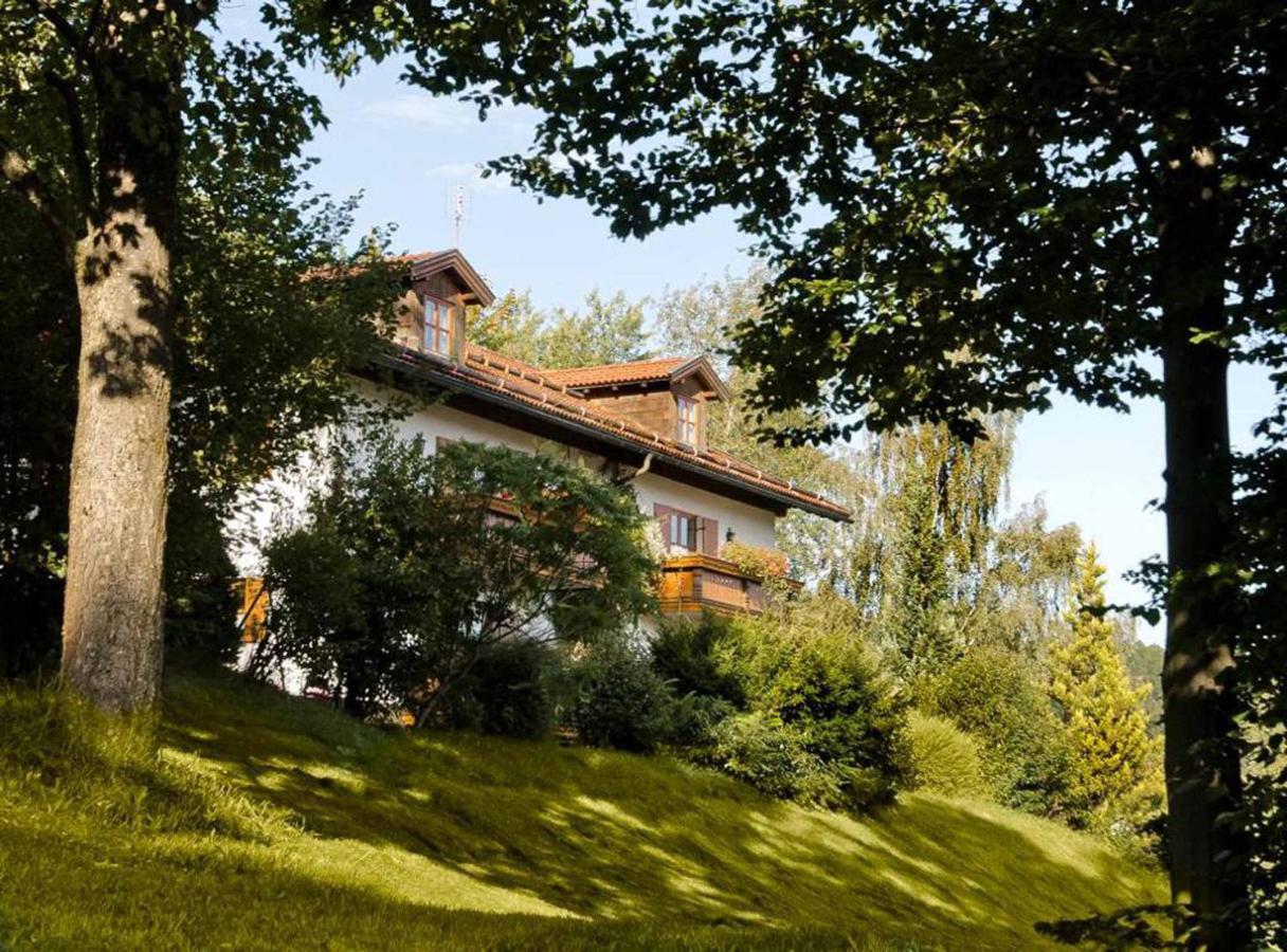 Ferienwohnungen Haus "Wildschuetz" Frauenau Buitenkant foto